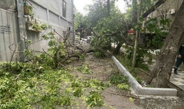 Երևանում քամու հետևանքով շինությունների տանիքների ծածկեր են վնասվել, ծառեր կոտրվել